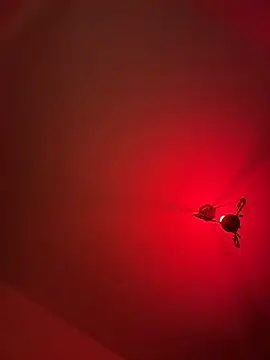 witchdub online show from April 13, 10:43 pm