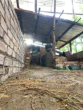 Ginny 2x online show from February 15, 9:41 am