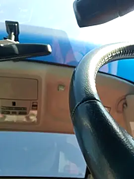 Sunflower0025 online show from February 13, 9:27 pm