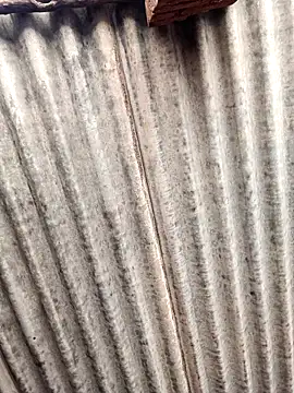 Riyakumari hot66 online show from April 21, 5:25 am