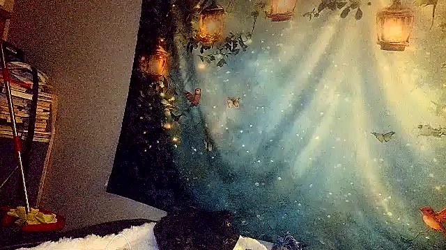 Blondie the librarian online show from April 27, 11:24 pm