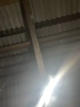 bikhidj online show from April 21, 1:40 pm