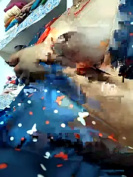 deshibhbi online show from March 6, 4:35 pm