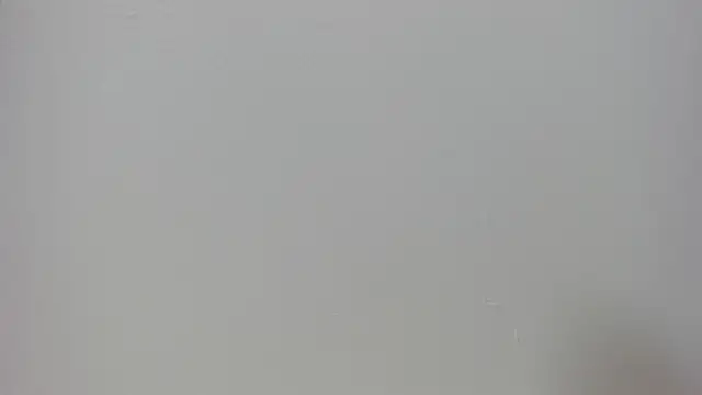 Raven love online show from April 25, 5:21 pm