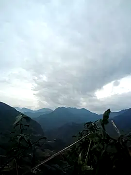 cuunon11 online show from February 25, 2:54 am