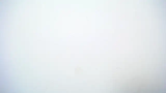 Kitty f00x online show from April 20, 7:28 pm