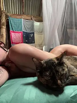 fairy bell online show from March 12, 2:36 am