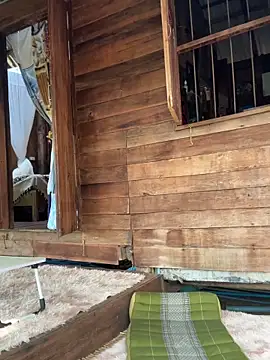 fairy bell online show from March 5, 5:36 am