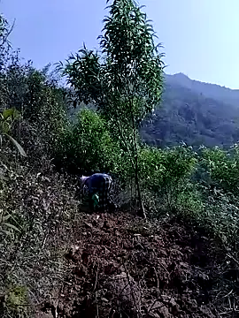 lovely-742 online show from April 21, 8:43 am