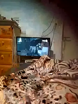 Morocha exotica00 online show from March 21, 5:56 am