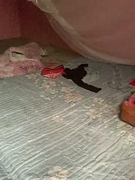 baeas-lan online show from April 21, 2:04 am