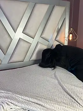 Ashleeyprincess01 online show from April 28, 12:31 pm