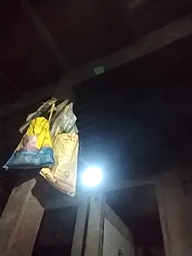 Lucie Fuzk online show from March 29, 12:15 pm