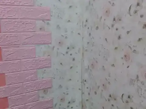 lolit cat online show from March 21, 12:48 am