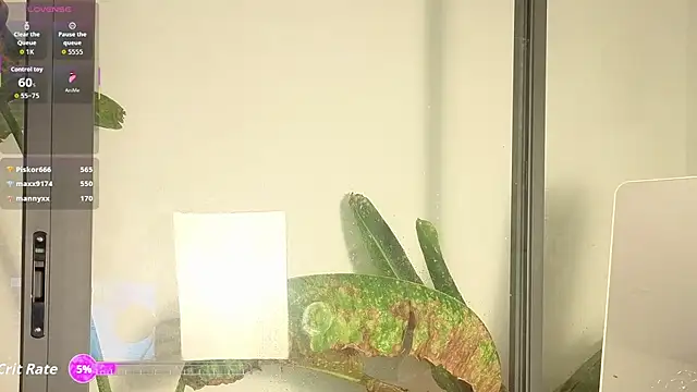 came-lot online show from March 12, 8:55 pm