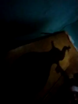 milaa 420 online show from March 10, 11:58 am