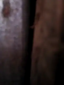 Any 120 online show from April 26, 8:45 am