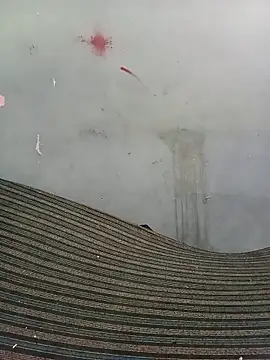 School teacher12 online show from April 17, 3:47 pm