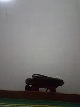 hanameo online show from April 28, 1:59 pm