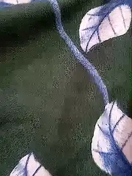 MSCC0 online show from April 27, 3:47 am