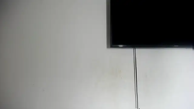 Fox Loves online show from July 7, 11:29 pm