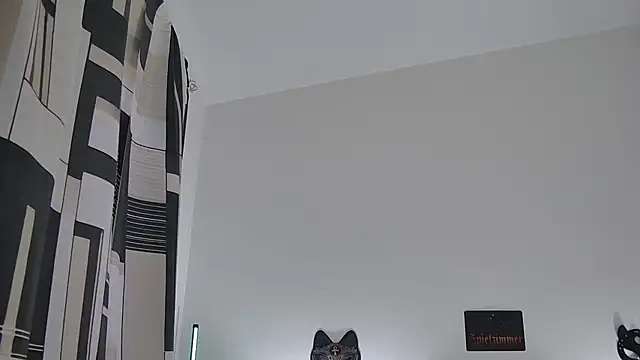 Student Zebra20 online show from June 27, 2:34 am