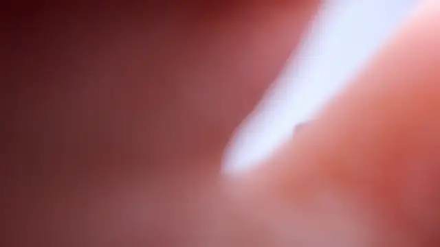 IvyHotFoxy online show from April 4, 2:05 pm