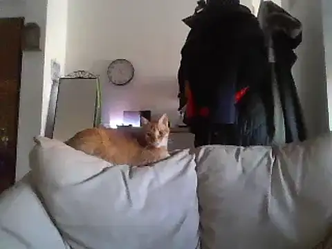 milkarock online show from September 18, 9:30 am