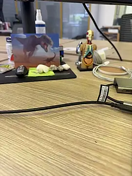 fmodel online show from September 24, 11:20 am