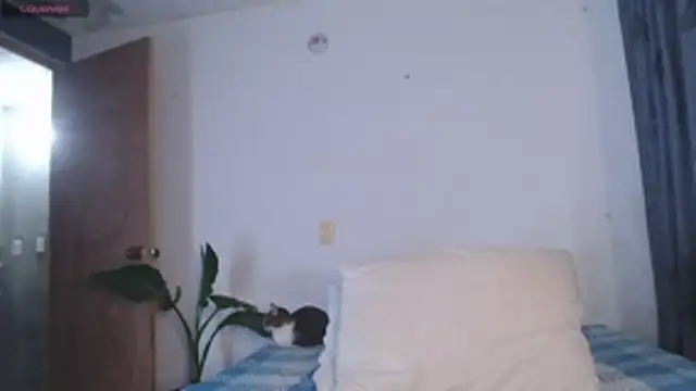 valen thompson online show from April 22, 3:47 am