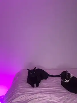 Veronica ar online show from April 6, 4:23 am