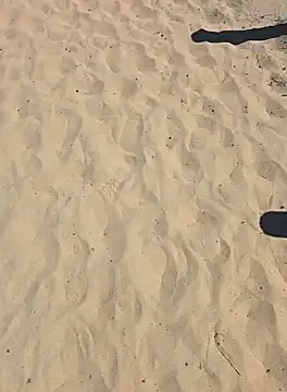 Trucker Hunter online show from September 28, 2:22 pm