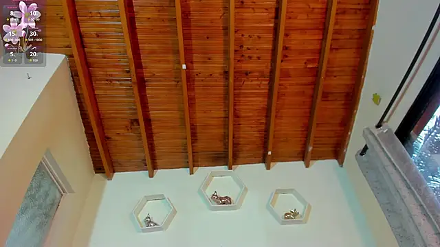 shanakendall online show from February 12, 2:41 pm