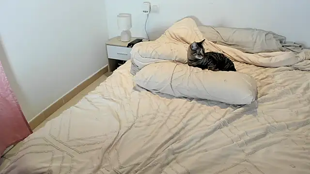 MariaMeir online show from December 14, 9:09 pm