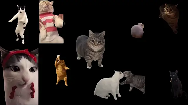 aberaaruba online show from November 20, 2:51 pm