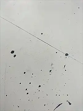 Pitercom online show from April 29, 1:31 am