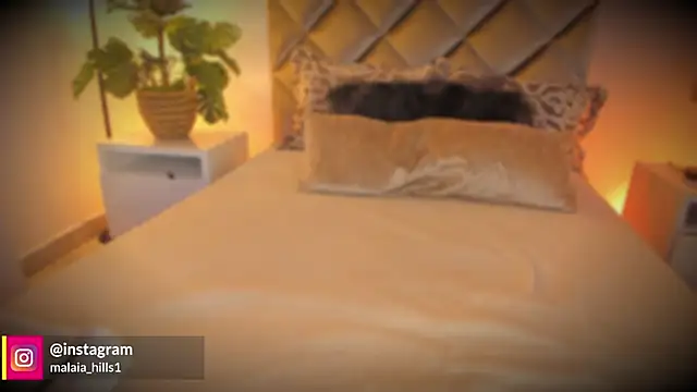 malaia hills online show from December 3, 7:16 pm