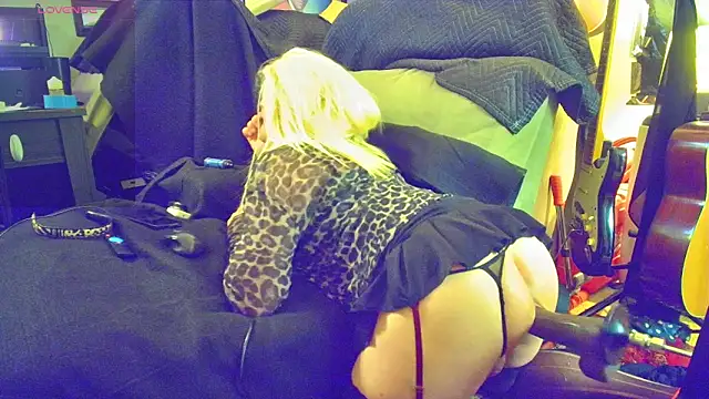 DoMeDoggyNow online show from April 6, 6:47 am