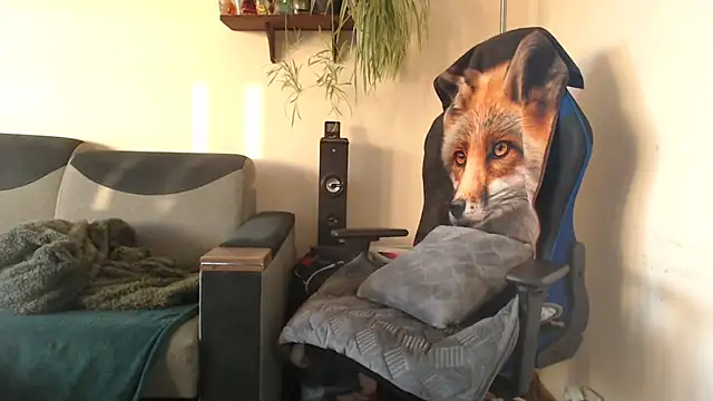 Diablica41 online show from February 19, 3:22 pm