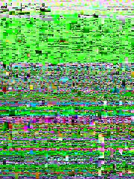 dayra angels online show from November 8, 5:29 pm