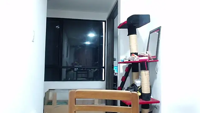 karinasodi 1 online show from February 19, 12:32 am