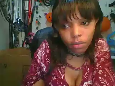 Anaconda2350 online show from November 11, 10:01 am