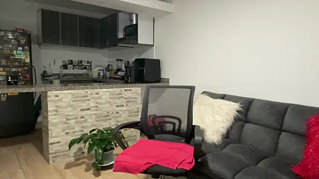 Karina Yang online show from April 21, 8:10 am