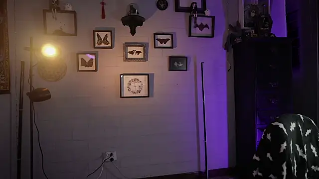 insania 9999  online show from April 27, 4:37 pm