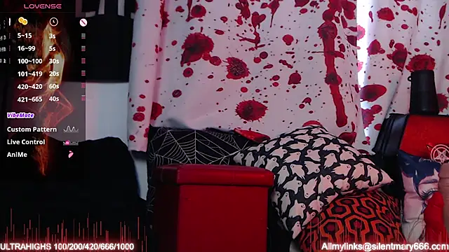 Silentmary online show from December 1, 2:53 pm