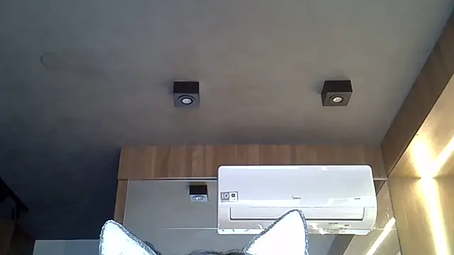 Skinny-Kitten online show from October 2, 12:21 pm